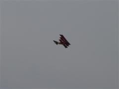 PICT2182.JPG